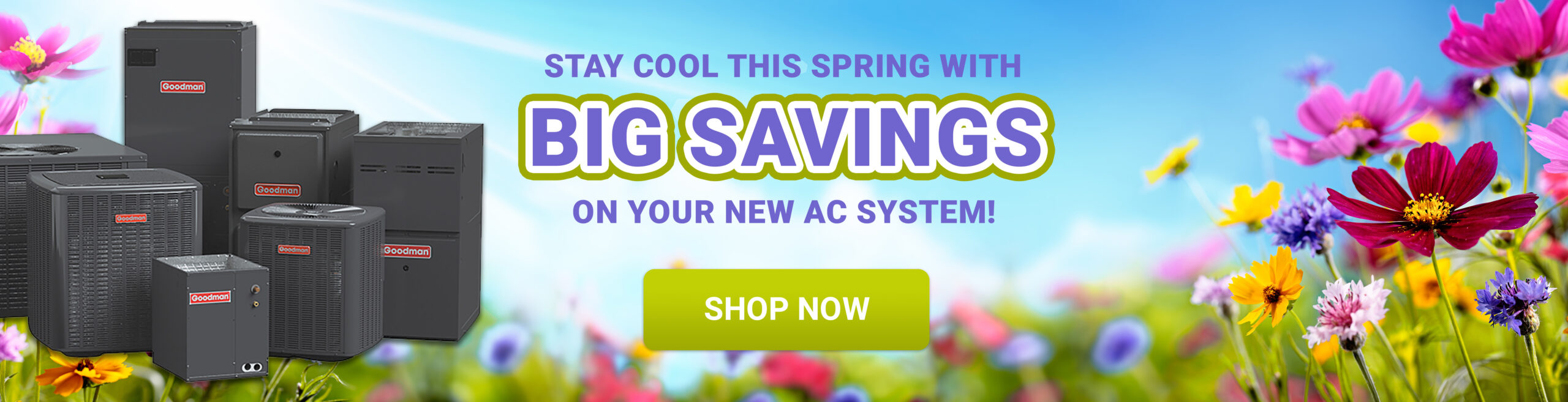Spring Savings